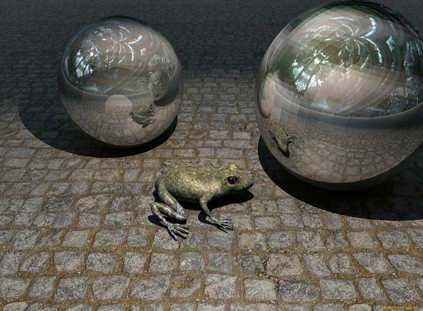 3, , animals, , 